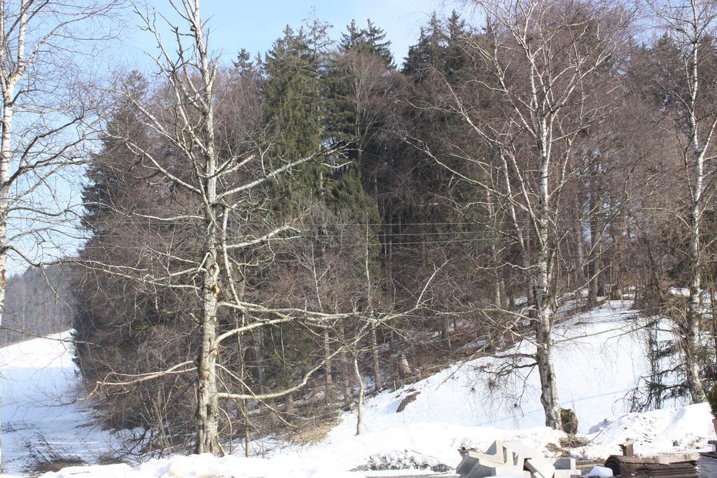 Ferienwohnungen Neukirchen Neukirchen am Teisenberg Kültér fotó