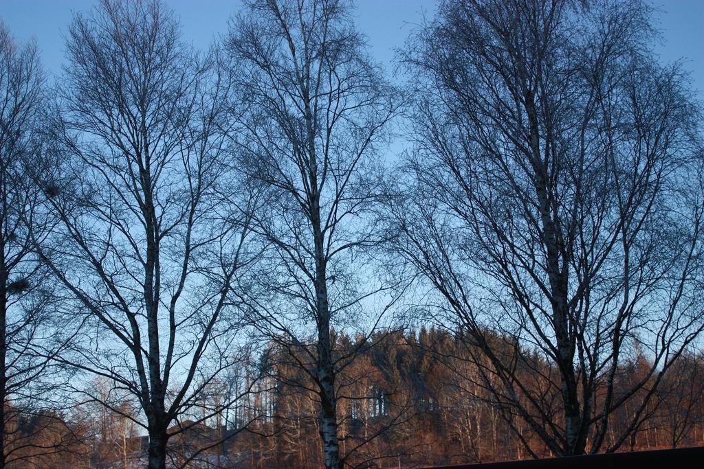 Ferienwohnungen Neukirchen Neukirchen am Teisenberg Kültér fotó