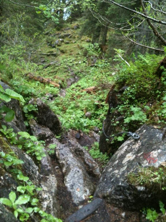 Ferienwohnungen Neukirchen Neukirchen am Teisenberg Kültér fotó